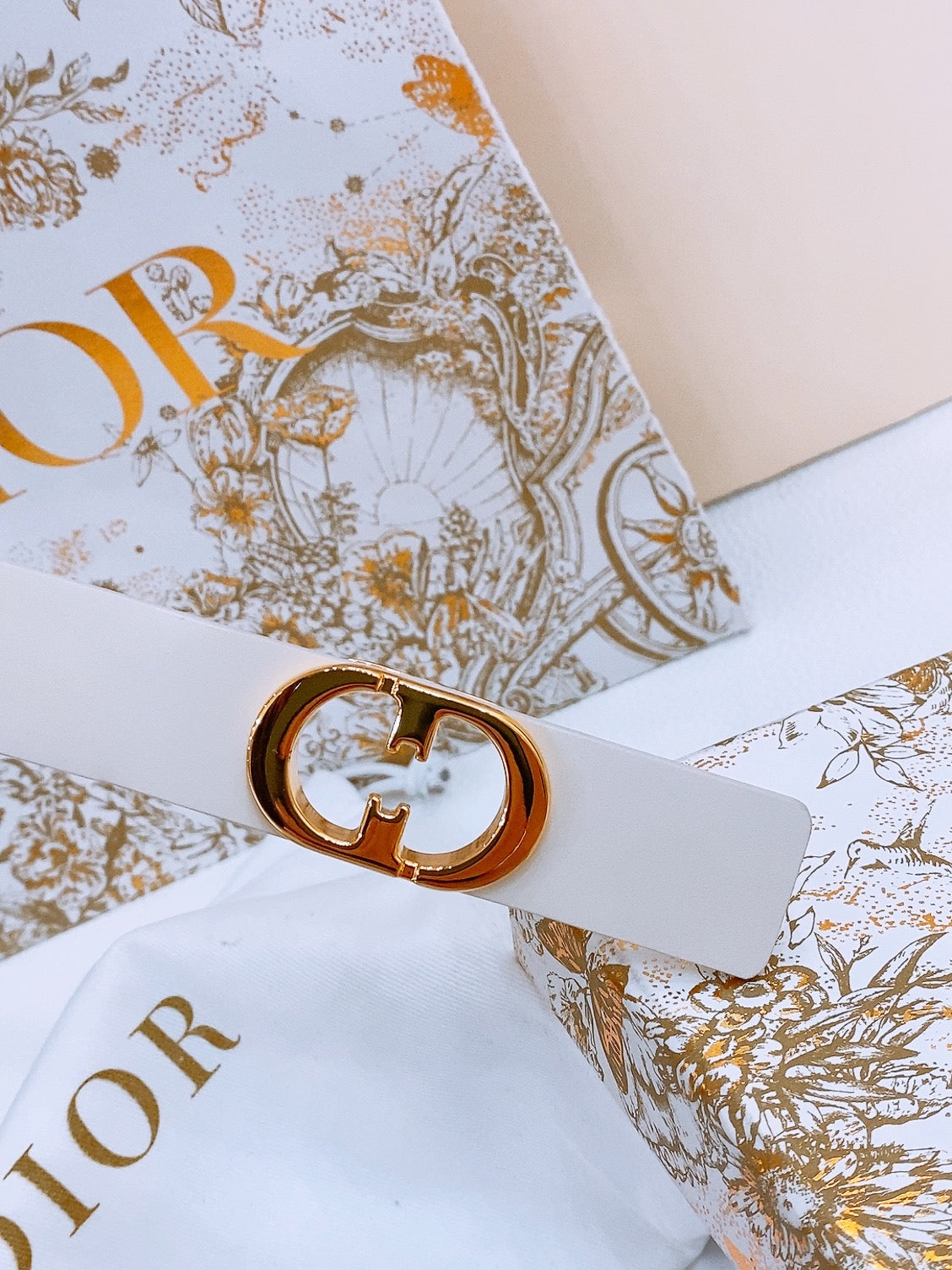 DIOR 25S BELT 25 MM IN WHITE CALFSKIN 561822
